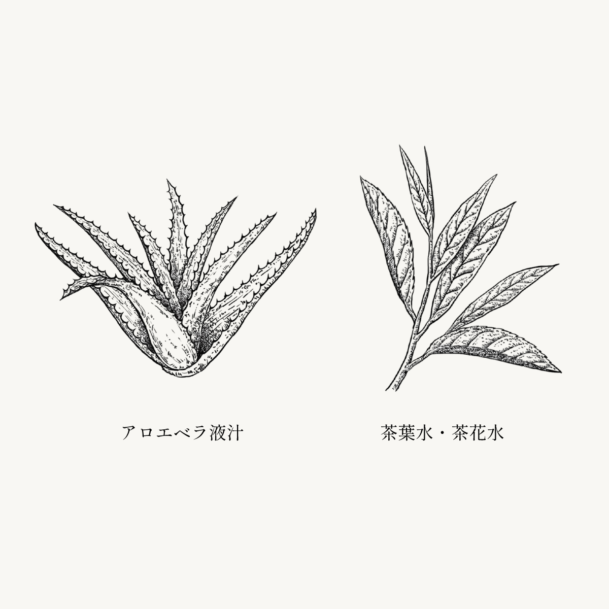 ブルーミングシャワー