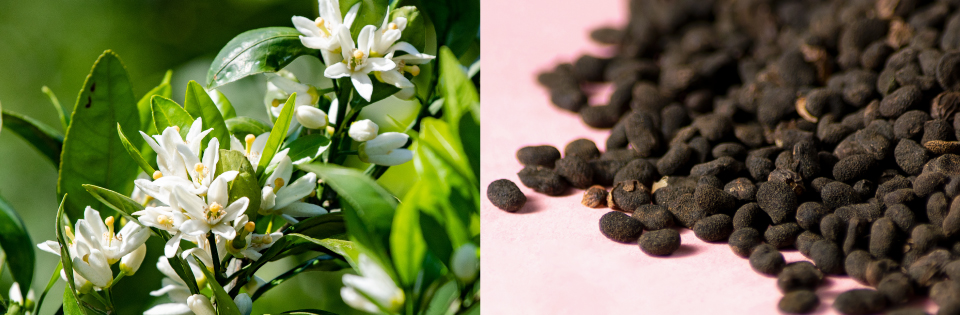 ブライトニングフェイスマスク ハマナス&ネロリ＜SHOGO SEKINE描きおろし限定BOX＞