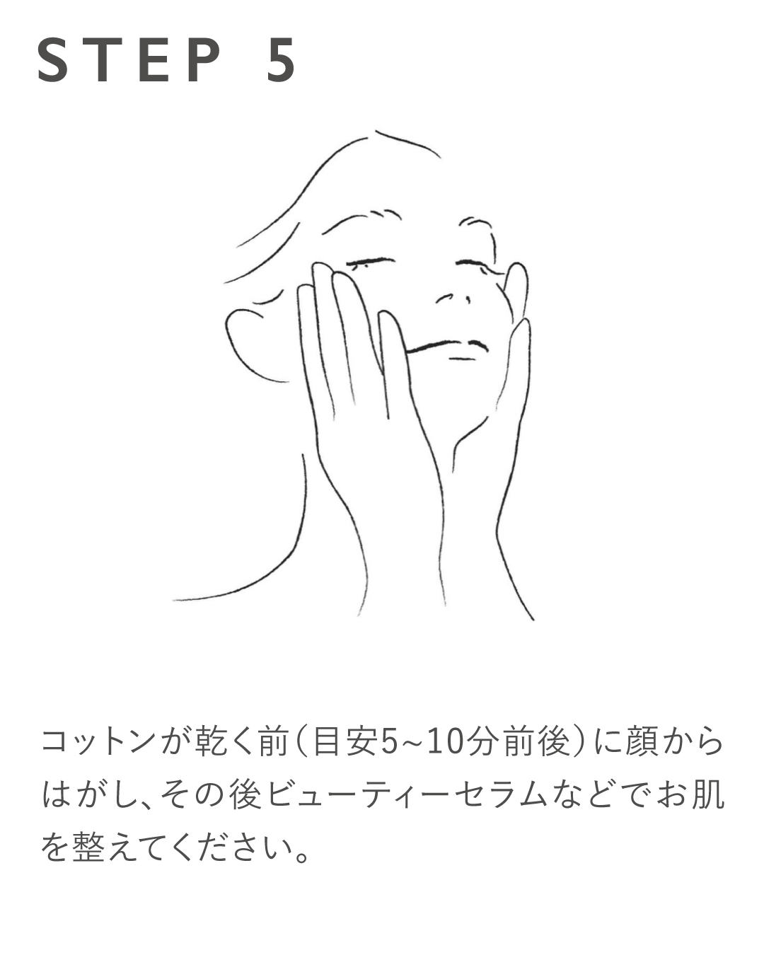 【予約販売/送料無料】ホーリーハーバルミスト2026